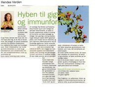 Hyben til gigt og immunforsvar