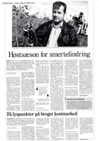 Høstsæson for smertelindring