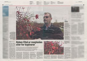 Hyben Vital er magtesløs over for kopivarer