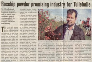 Rosehip powder promising industry for Tullebølle