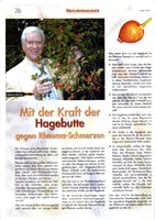 Mit der Kraft der Hagebutt gegen Rheuma-Schmerzen