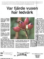 Var fjärde vuxen har ledvärk